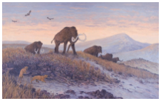Mammoths on ridge